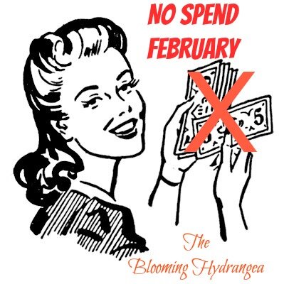 No Spend Month Saving Money